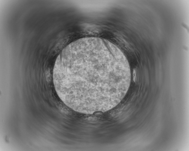 X0000095891395200802011056