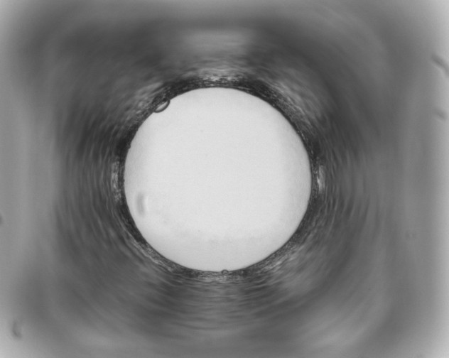 X0000095891396200802011056