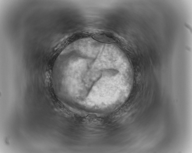 X0000095891397200802011056