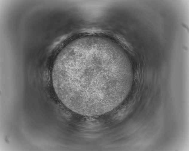 X0000095891398200802011056