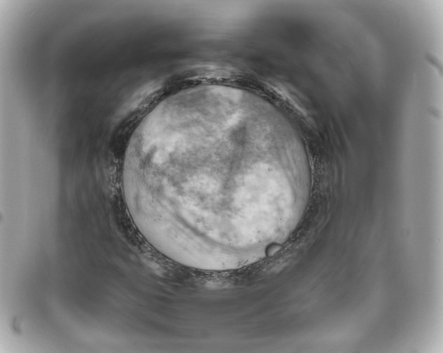 X0000095891399200802011056