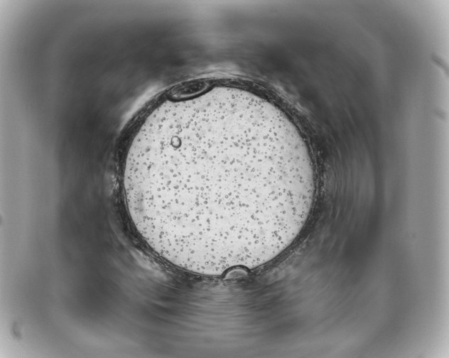 X0000095891400200802011056