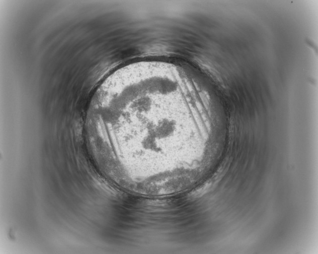 X0000095891401200802011056