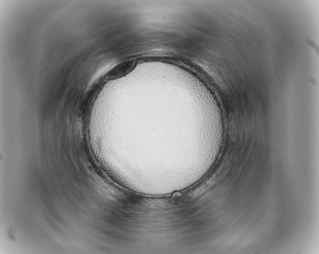 X0000095891402200802011056