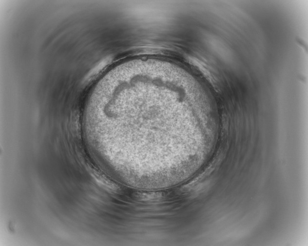 X0000095891403200802011056