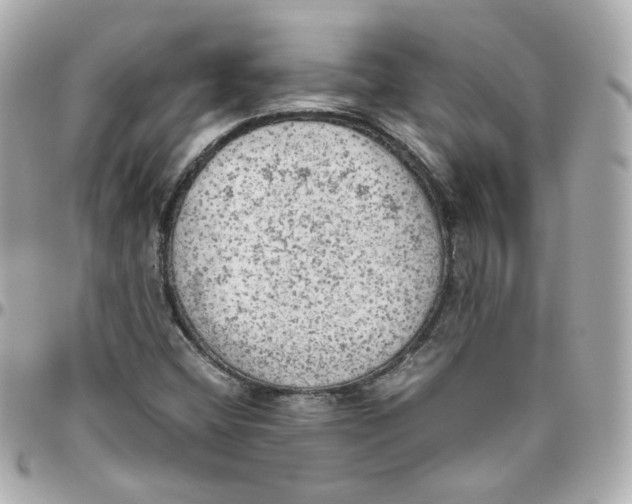 X0000095891404200802011056