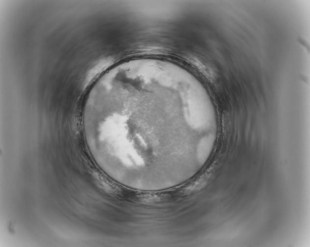 X0000095891405200802011056