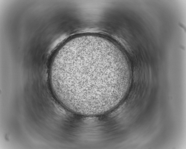 X0000095891406200802011056