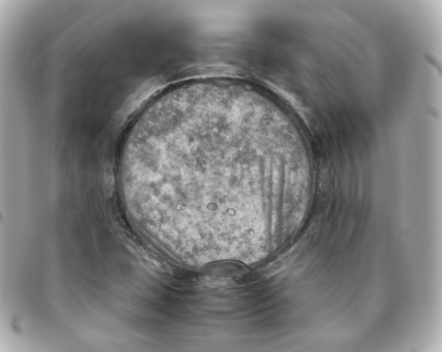 X0000095891407200802011057