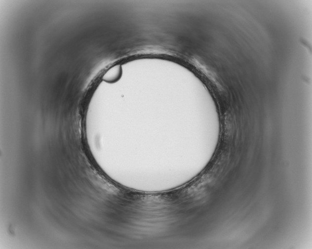 X0000095891408200802011057