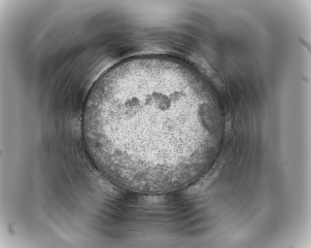 X0000095891409200802011057