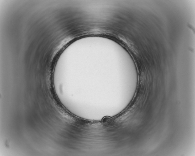 X0000095891410200802011057