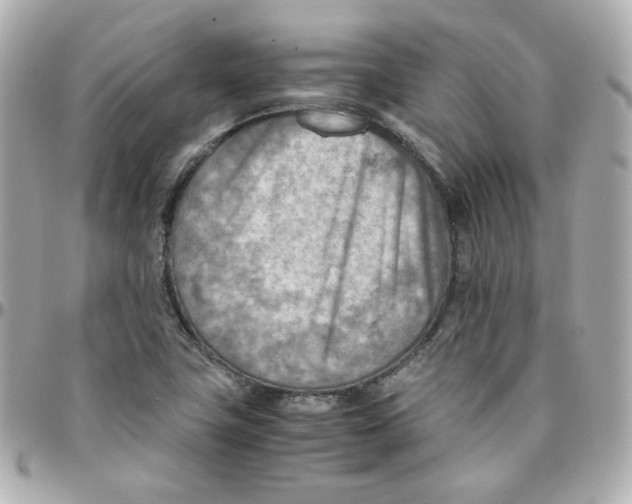 X0000095891411200802011057