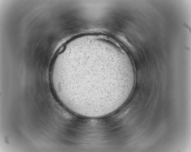 X0000095891412200802011057