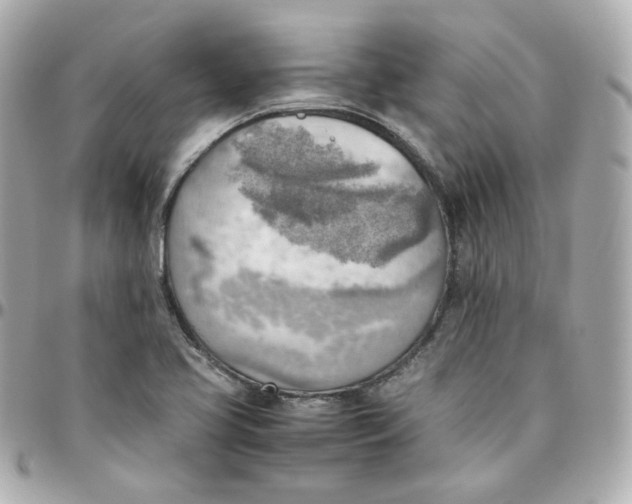 X0000095891413200802011057