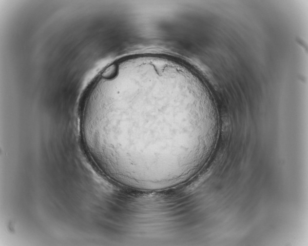 X0000095891414200802011057