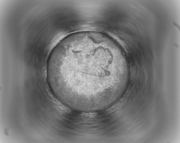 X0000095891415200802011057