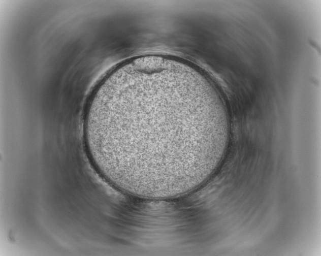 X0000095891416200802011057