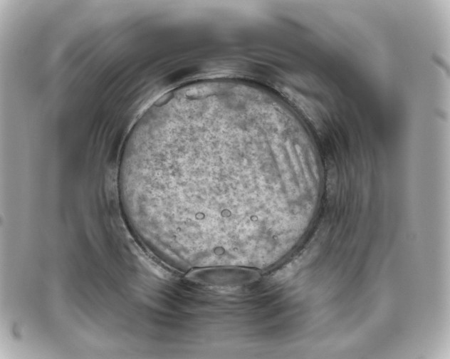 X0000095891417200802011057