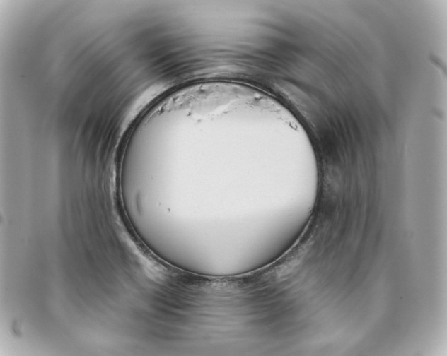 X0000095891418200802011057