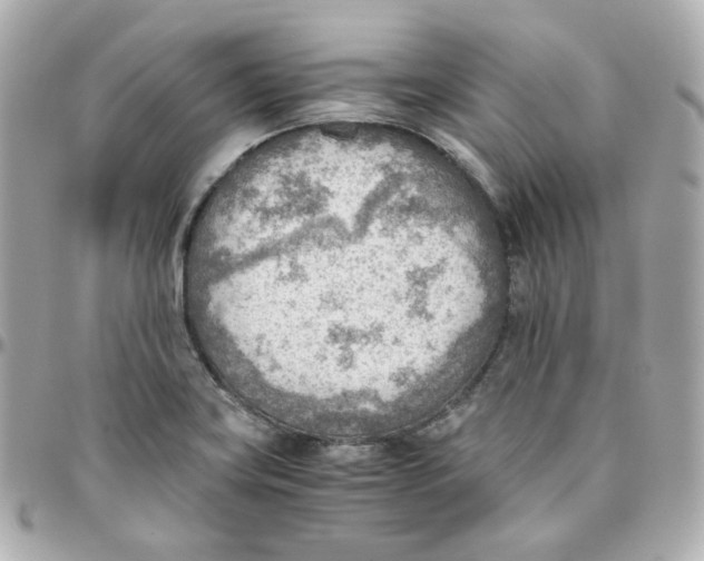 X0000095891419200802011057