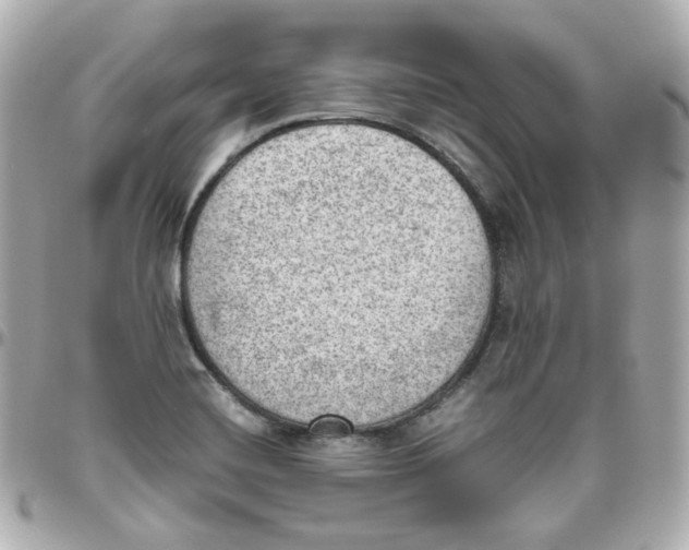 X0000095891420200802011057