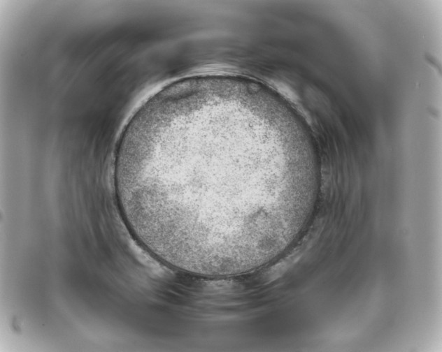 X0000095891421200802011057