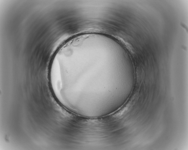 X0000095891422200802011057