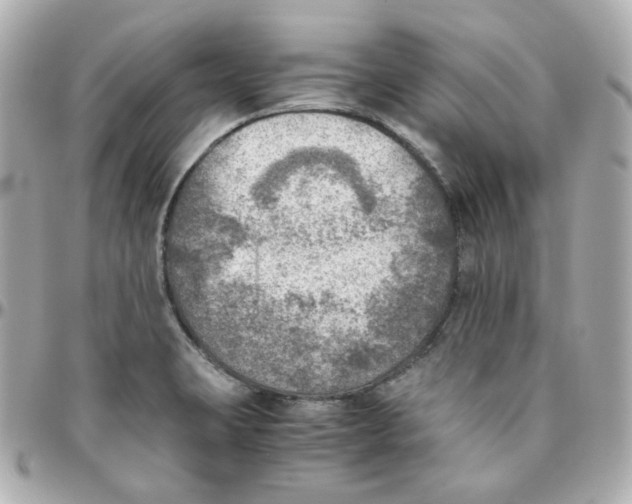 X0000095891423200802011057