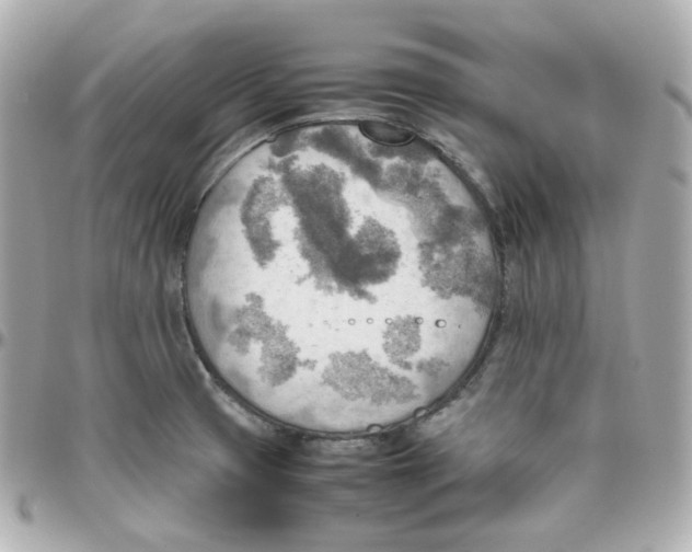 X0000095891425200802011057