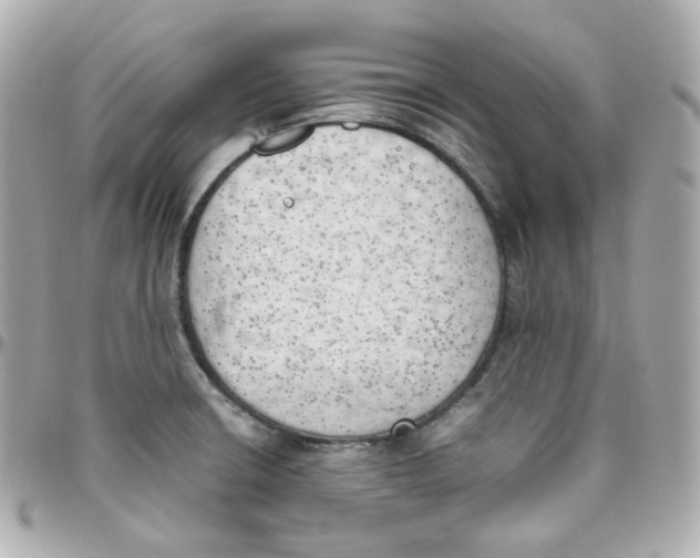 X0000095891426200802011057