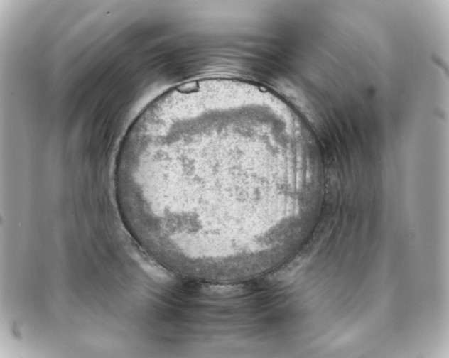 X0000095891427200802011057