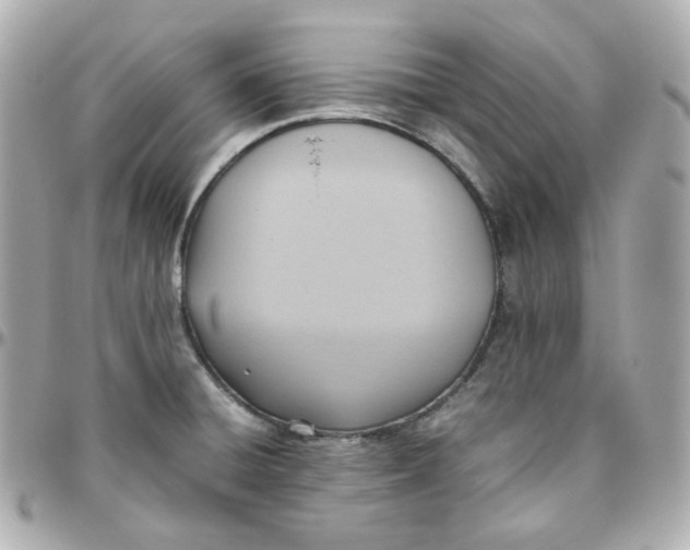 X0000095891428200802011057