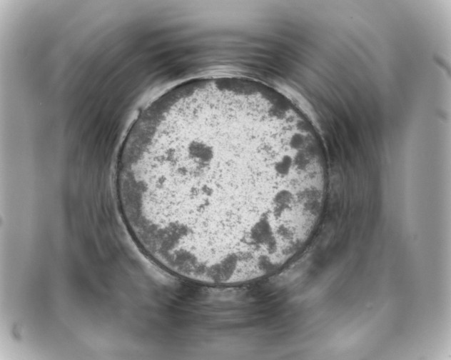 X0000095891429200802011057