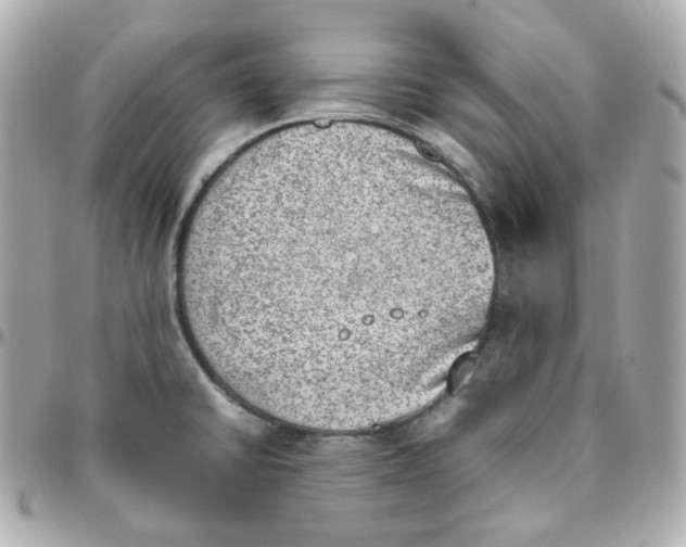 X0000095891430200802011057