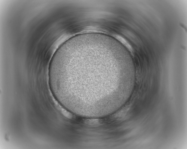 X0000095891431200802011057