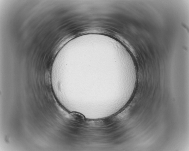 X0000095891433200802011057