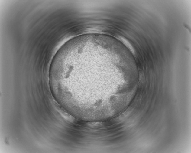 X0000095891435200802011057