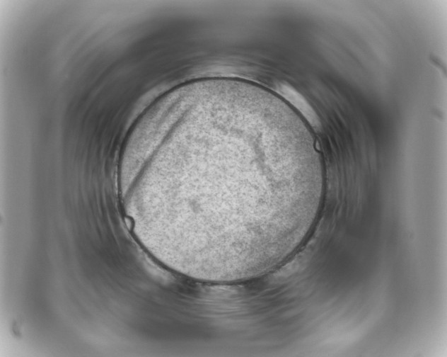 X0000095891436200802011057