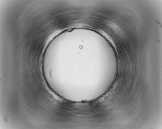 X0000095891437200802011057