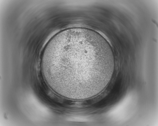 X0000095891438200802011057