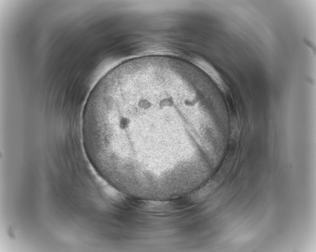 X0000095891439200802011057