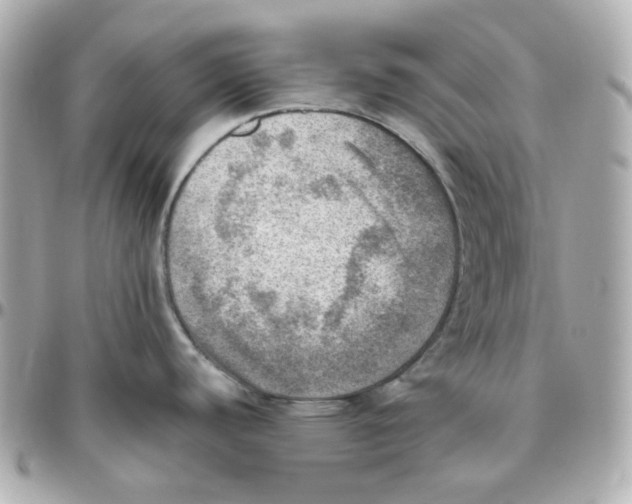 X0000095891440200802011057