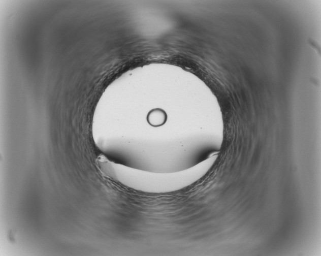 X0000095891441200802011056