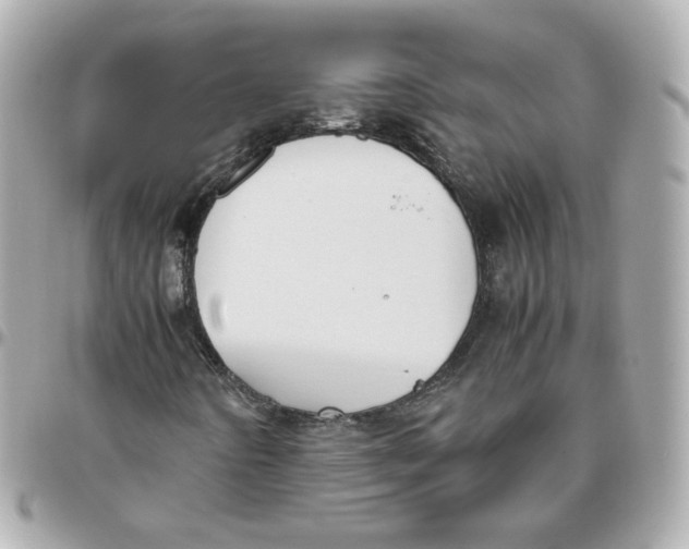 X0000095891442200802011056