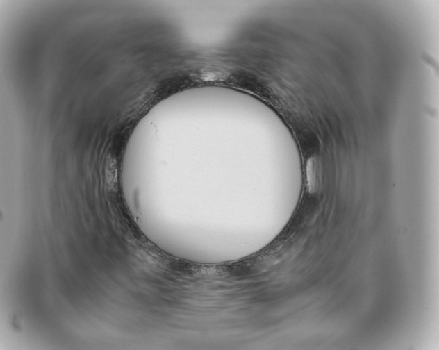 X0000095891443200802011056