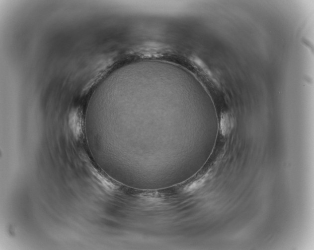 X0000095891444200802011056