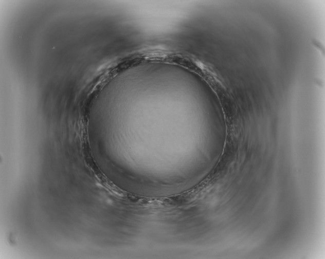 X0000095891445200802011056