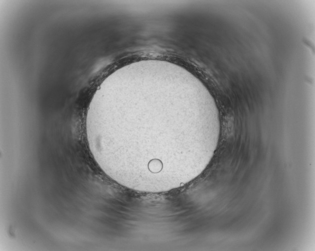 X0000095891446200802011056