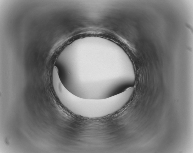 X0000095891448200802011056